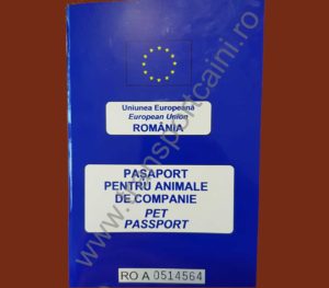 pasaport transportcaini.ro